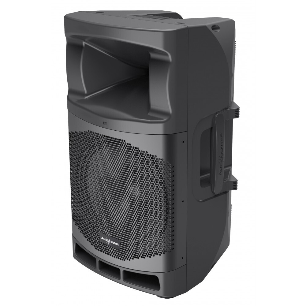 Audiocenter MA12 активная акустическая система в Дальнереченске