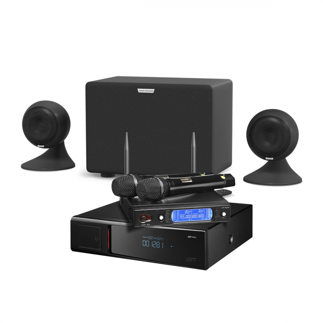караоке-комплект AST Mini Sound Sphere в Дальнереченске