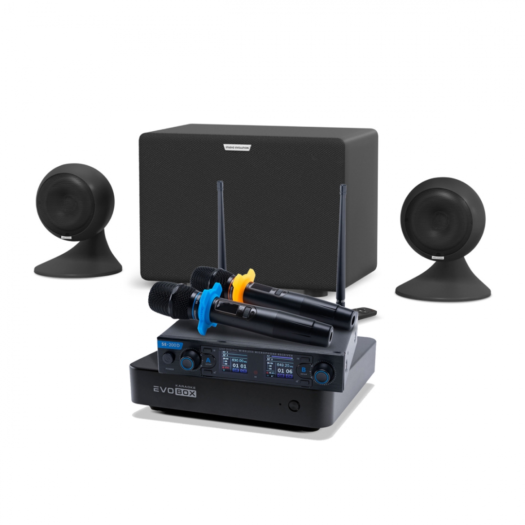 караоке-комплект EVOBOX + EvoSound Sphere 2.1 в Дальнереченске