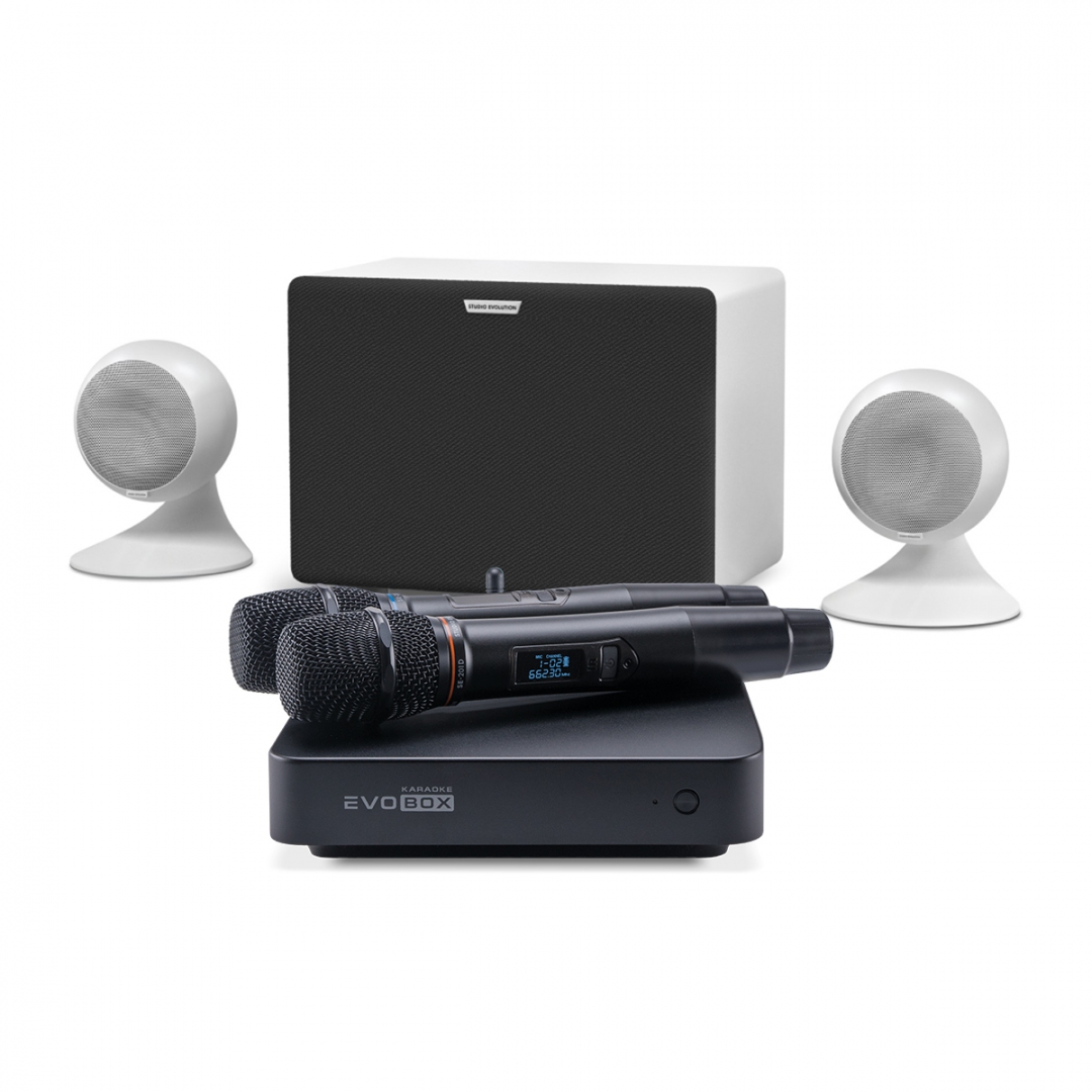 караоке-комплект EVOBOX Classic + EvoSound Sphere 2.1 в Дальнереченске