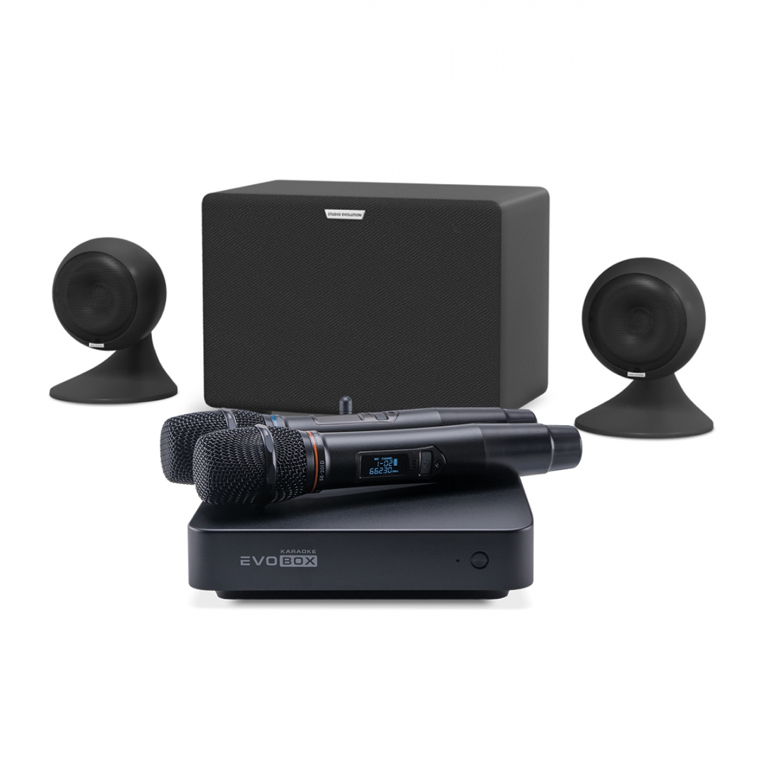 караоке-комплект EVOBOX Plus + EvoSound Sphere 2.1 в Дальнереченске