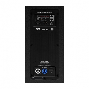 Активная акустическая система AST-310A в Дальнереченске