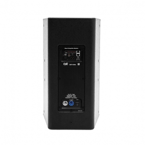 Активная акустическая система AST-310A в Дальнереченске