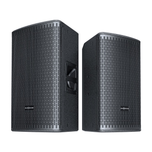 Audiocenter GT510A Активная акустическая система в Дальнереченске