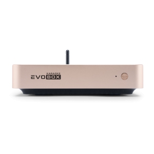 EVOBOX Classic караоке-система для дома в Дальнереченске