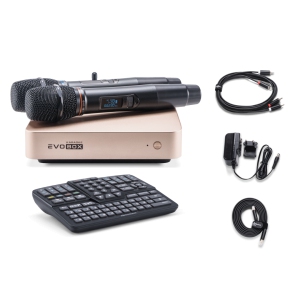 EVOBOX Classic караоке-система для дома в Дальнереченске