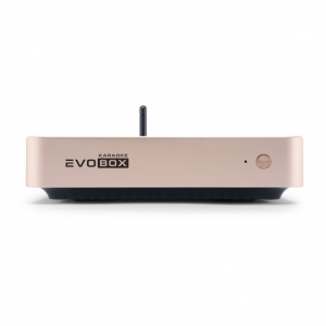 EVOBOX Plus караоке-система для дома в Дальнереченске