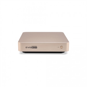 EVOBOX с микрофонами в Дальнереченске
