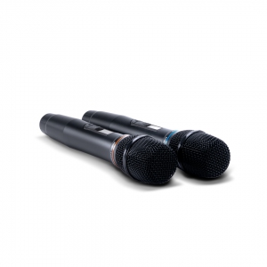SE-200D цифровые микрофоны в Дальнереченске